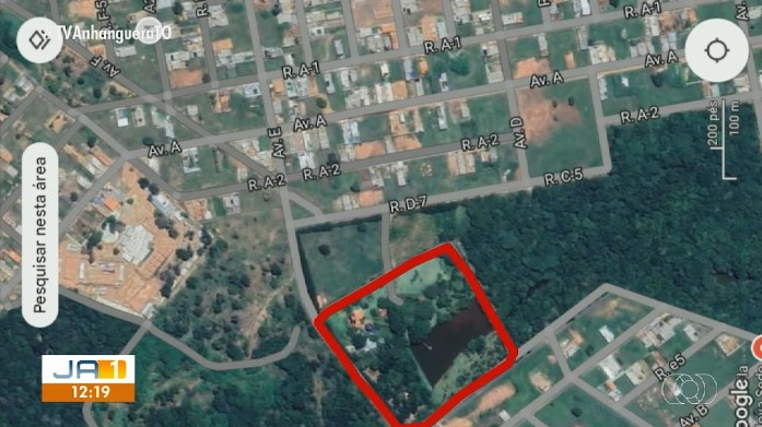Justiça determina desocupação de área verde onde homem cria gado em Gurupi