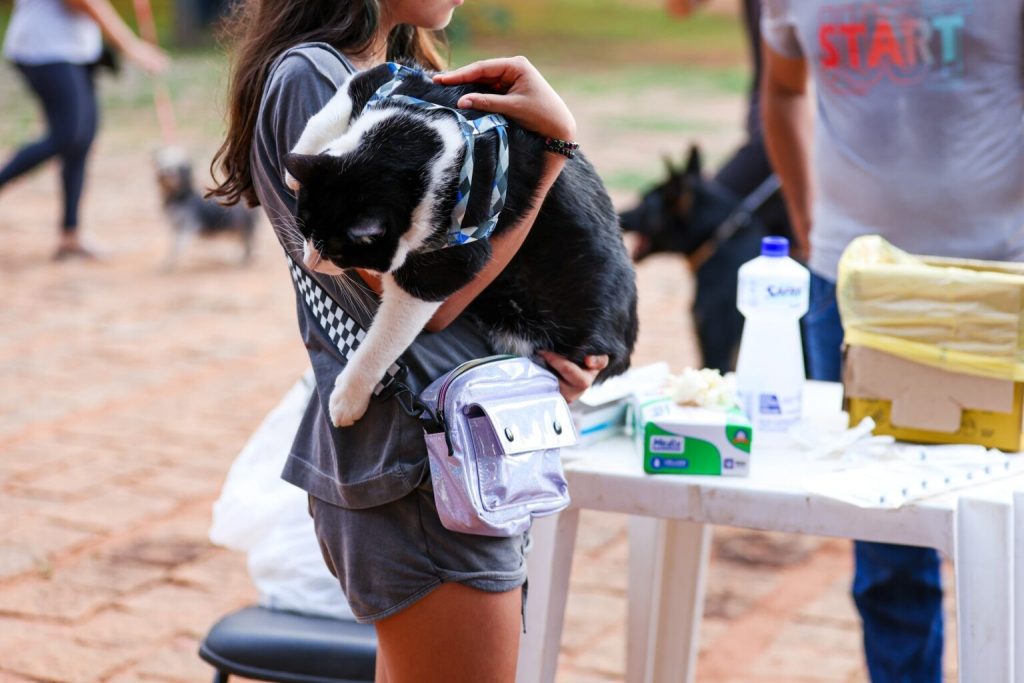 Cães e gatos a partir de três meses podem ser vacinados contra a raiva neste sábado (26); veja os locais