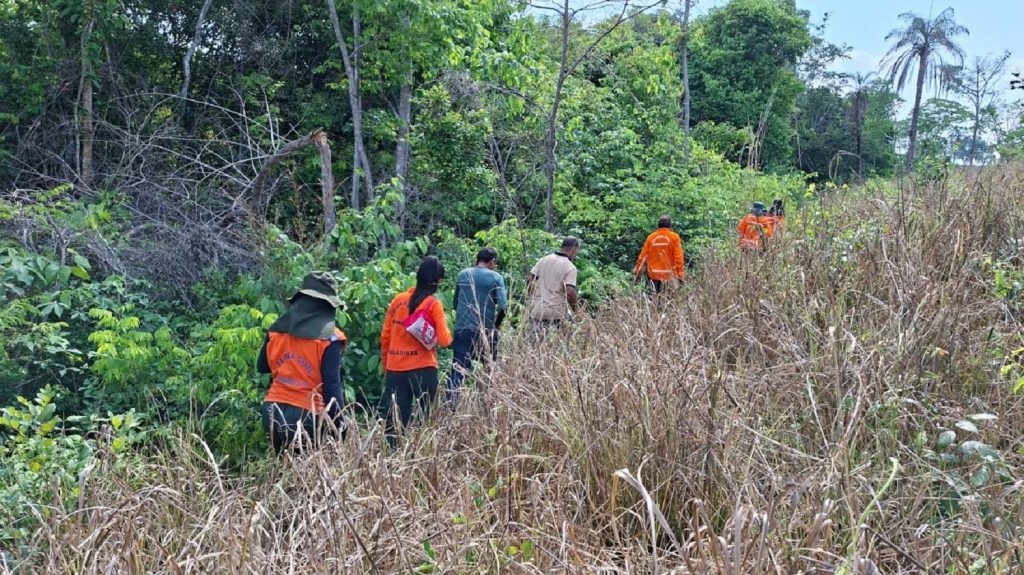 Bombeiros procuram idoso de 75 anos desaparecido há sete dias em área de mata de Aguiarnópolis