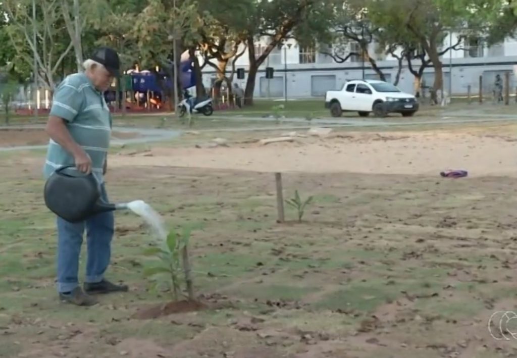 Conheça o aposentado que há oito anos transforma praça de Palmas com árvores frutíferas; VÍDEO