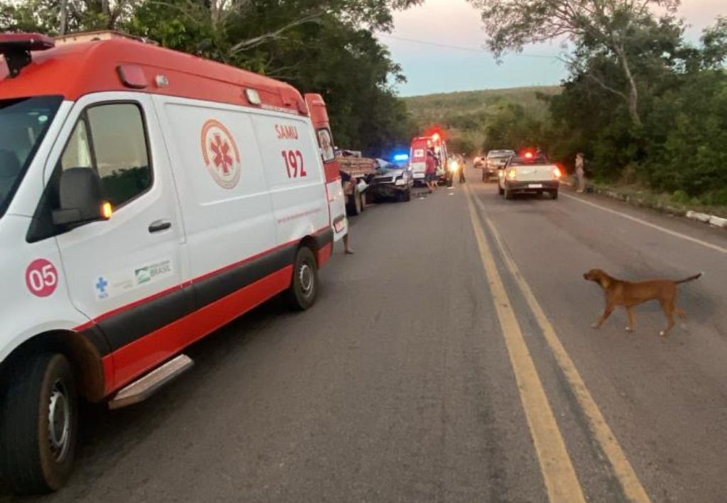 Mulher de 69 anos morta em acidente na BR-010 é identificada